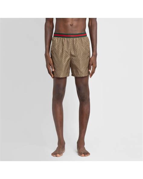 gucci men's swim|Gucci bikini gg.